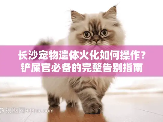 长沙宠物遗体火化如何操作？铲屎官必备的完整告别指南