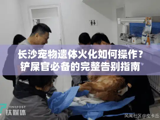 长沙宠物遗体火化如何操作？铲屎官必备的完整告别指南