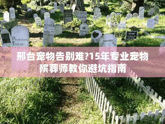 邢台宠物告别难?15年专业宠物殡葬师教你避坑指南