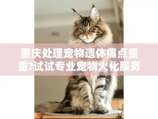 重庆处理宠物遗体痛点重重?试试专业宠物火化服务
