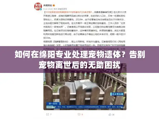 如何在绵阳专业处理宠物遗体？告别宠物离世后的无助困扰