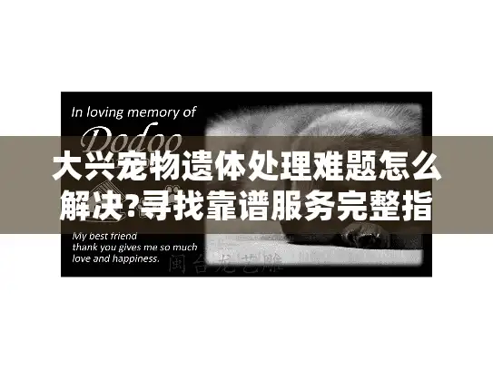 大兴宠物遗体处理难题怎么解决?寻找靠谱服务完整指南