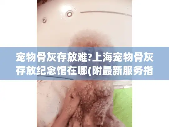 宠物骨灰存放难?上海宠物骨灰存放纪念馆在哪(附最新服务指南)