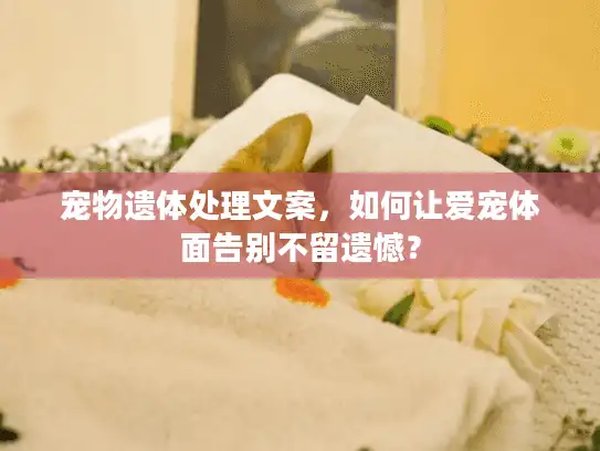 宠物遗体处理文案，如何让爱宠体面告别不留遗憾？