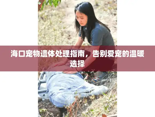 海口宠物遗体处理指南，告别爱宠的温暖选择