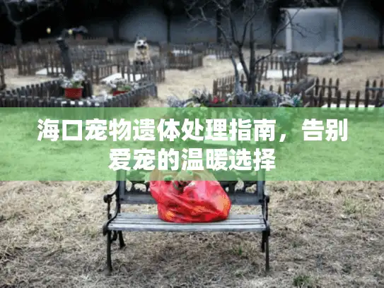 海口宠物遗体处理指南，告别爱宠的温暖选择