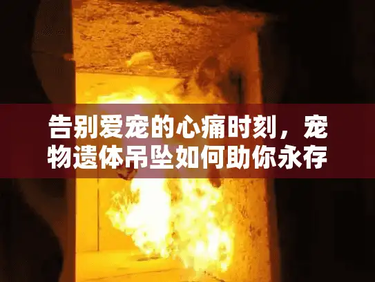 告别爱宠的心痛时刻，宠物遗体吊坠如何助你永存珍贵回忆？