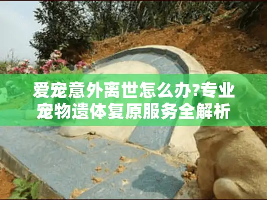 爱宠意外离世怎么办?专业宠物遗体复原服务全解析