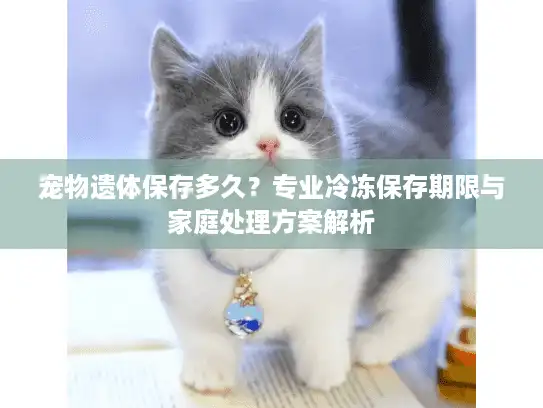 宠物遗体保存多久？专业冷冻保存期限与家庭处理方案解析