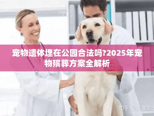宠物遗体埋在公园合法吗?2025年宠物殡葬方案全解析
