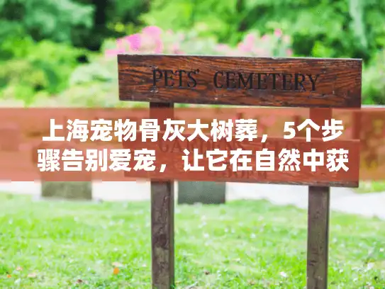 上海宠物骨灰大树葬，5个步骤告别爱宠，让它在自然中获得安宁