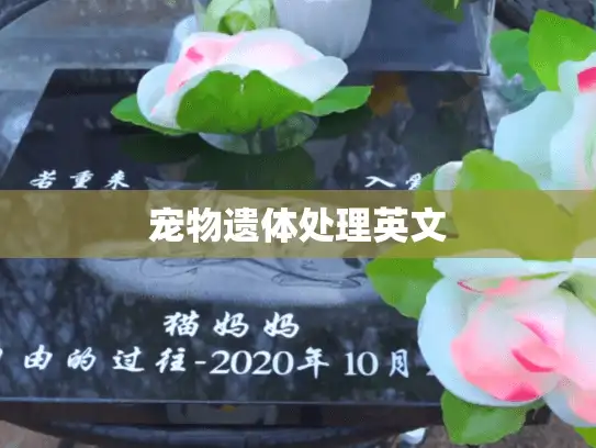 宠物遗体处理英文