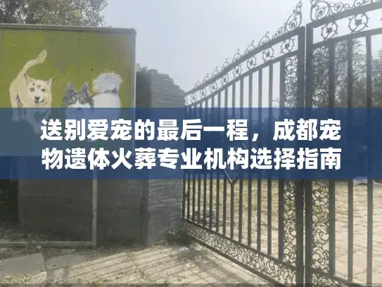 送别爱宠的最后一程，成都宠物遗体火葬专业机构选择指南