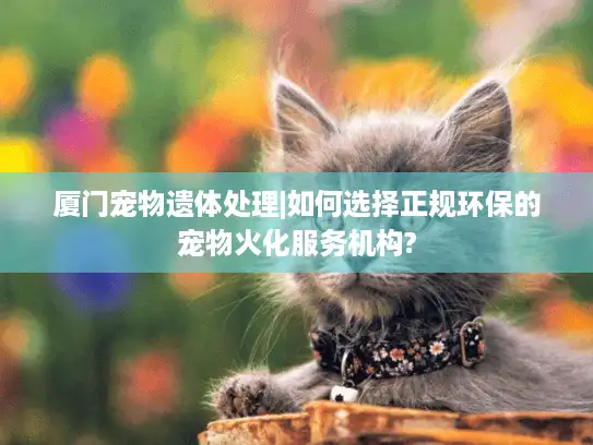 厦门宠物遗体处理|如何选择正规环保的宠物火化服务机构?