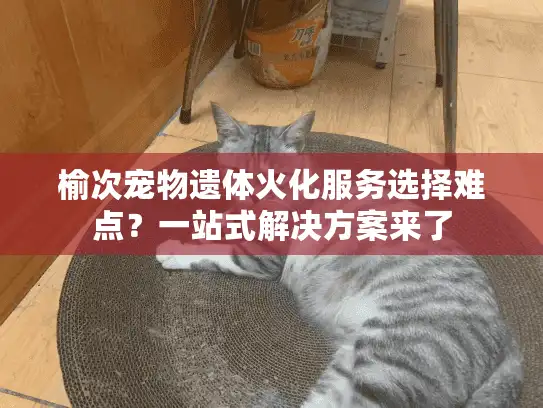 榆次宠物遗体火化服务选择难点？一站式解决方案来了