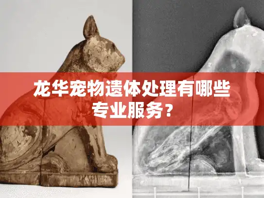 龙华宠物遗体处理有哪些专业服务？