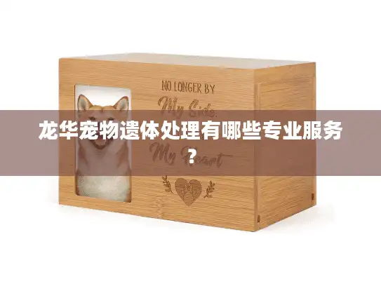 龙华宠物遗体处理有哪些专业服务？