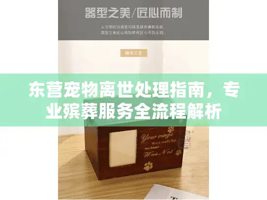东营宠物离世处理指南，专业殡葬服务全流程解析