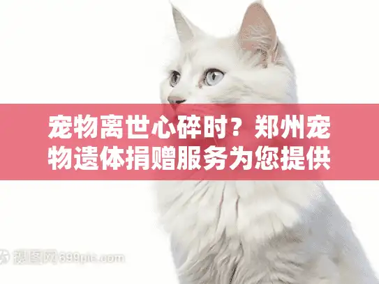 宠物离世心碎时？郑州宠物遗体捐赠服务为您提供温暖归宿
