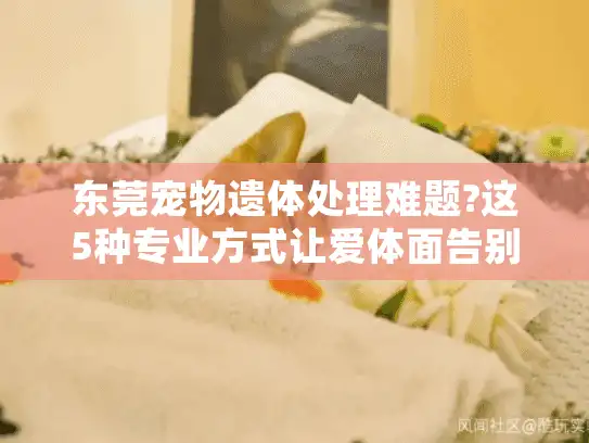 东莞宠物遗体处理难题?这5种专业方式让爱体面告别
