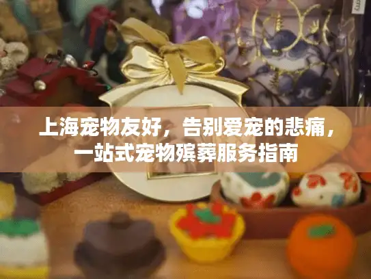 上海宠物友好，告别爱宠的悲痛，一站式宠物殡葬服务指南