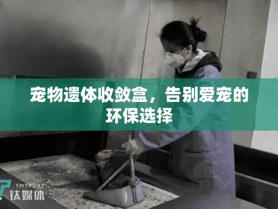 宠物遗体收敛盒，告别爱宠的环保选择