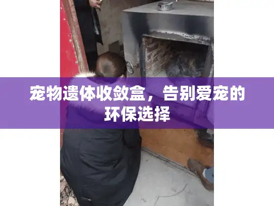 宠物遗体收敛盒，告别爱宠的环保选择