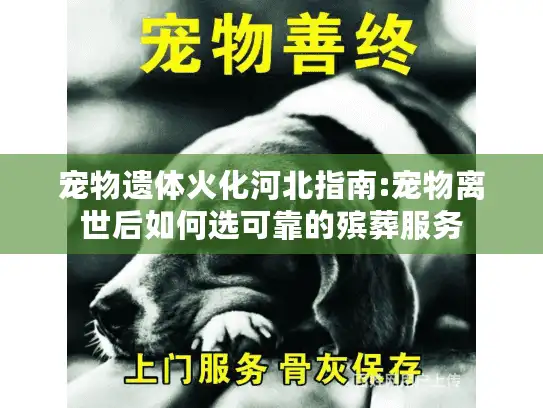 宠物遗体火化河北指南:宠物离世后如何选可靠的殡葬服务
