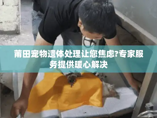莆田宠物遗体处理让您焦虑?专家服务提供暖心解决