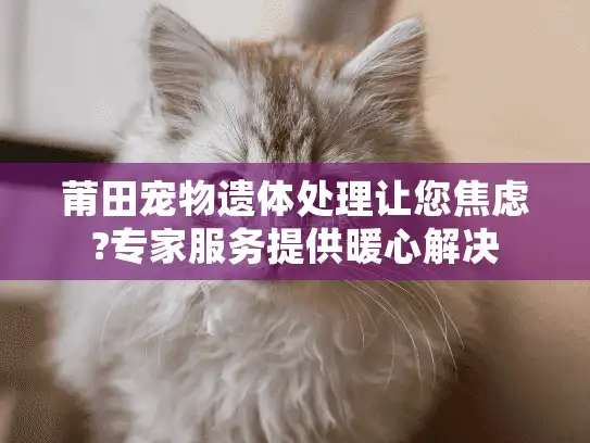 莆田宠物遗体处理让您焦虑?专家服务提供暖心解决