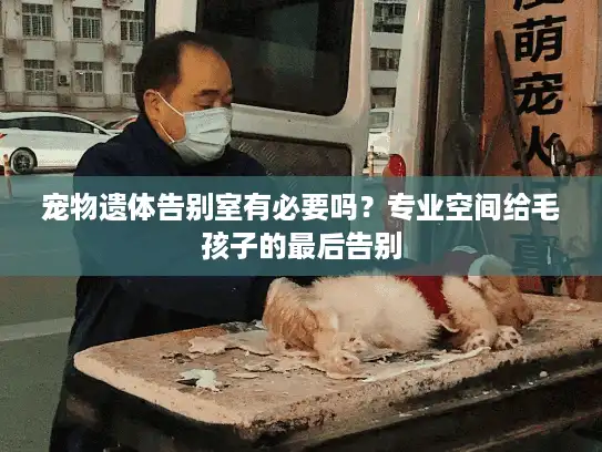 宠物遗体告别室有必要吗？专业空间给毛孩子的最后告别
