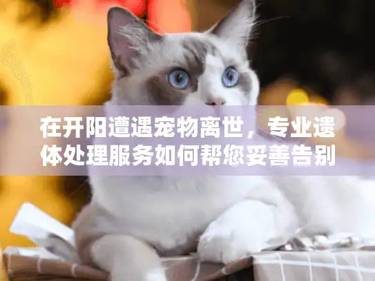 在开阳遭遇宠物离世，专业遗体处理服务如何帮您妥善告别？