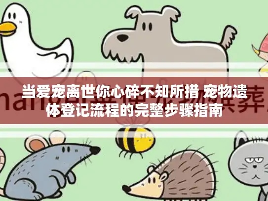 当爱宠离世你心碎不知所措 宠物遗体登记流程的完整步骤指南