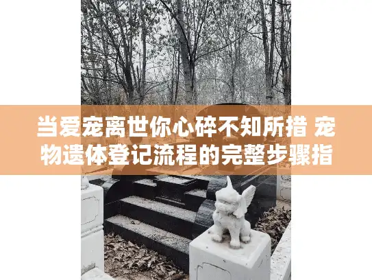 当爱宠离世你心碎不知所措 宠物遗体登记流程的完整步骤指南