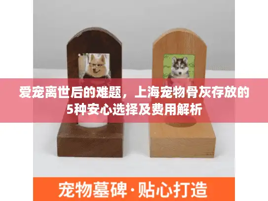 爱宠离世后的难题，上海宠物骨灰存放的5种安心选择及费用解析
