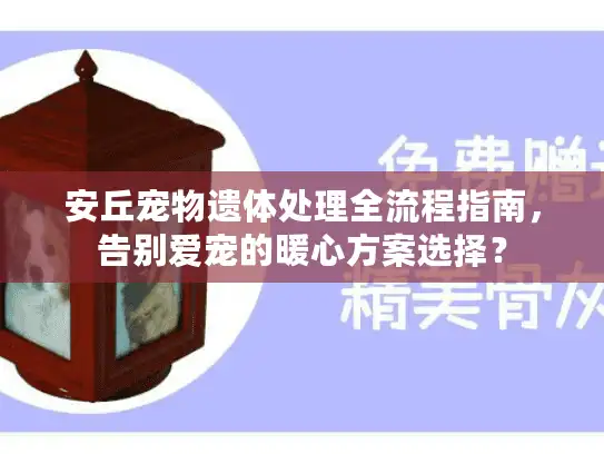 安丘宠物遗体处理全流程指南，告别爱宠的暖心方案选择？