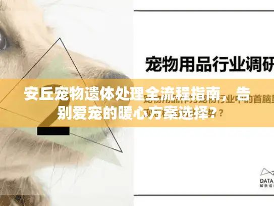 安丘宠物遗体处理全流程指南，告别爱宠的暖心方案选择？
