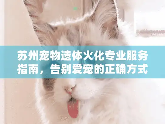 苏州宠物遗体火化专业服务指南，告别爱宠的正确方式