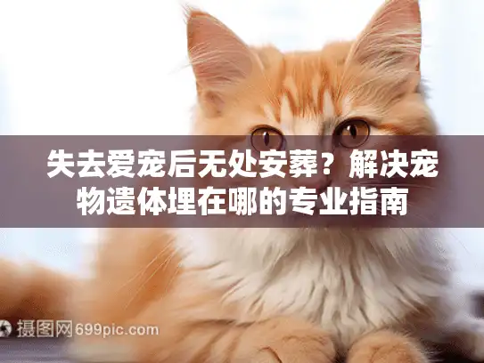失去爱宠后无处安葬？解决宠物遗体埋在哪的专业指南