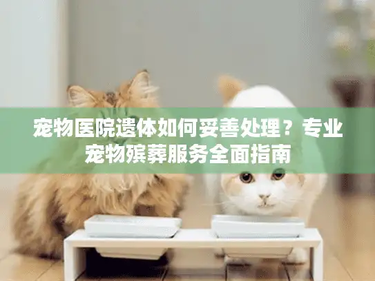 宠物医院遗体如何妥善处理？专业宠物殡葬服务全面指南