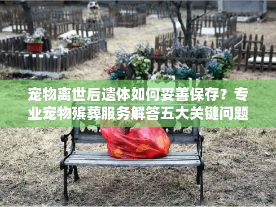 宠物离世后遗体如何妥善保存？专业宠物殡葬服务解答五大关键问题