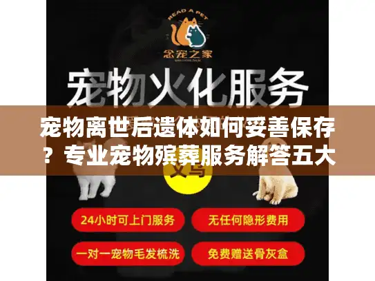 宠物离世后遗体如何妥善保存？专业宠物殡葬服务解答五大关键问题