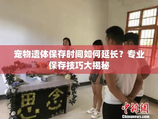 宠物遗体保存时间如何延长？专业保存技巧大揭秘