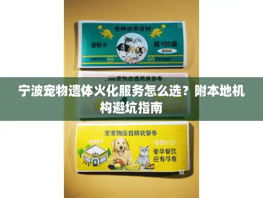宁波宠物遗体火化服务怎么选？附本地机构避坑指南