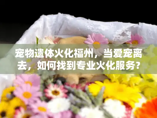宠物遗体火化福州，当爱宠离去，如何找到专业火化服务？