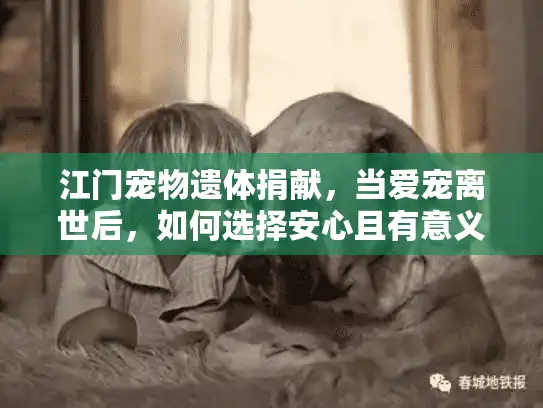 江门宠物遗体捐献，当爱宠离世后，如何选择安心且有意义的告别方式？