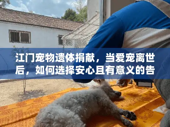 江门宠物遗体捐献，当爱宠离世后，如何选择安心且有意义的告别方式？
