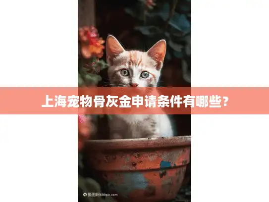 上海宠物骨灰金申请条件有哪些？