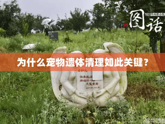 为什么宠物遗体清理如此关键？