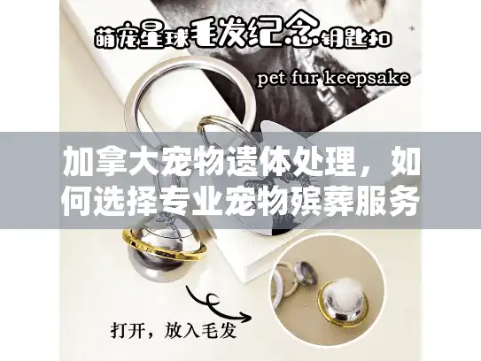加拿大宠物遗体处理，如何选择专业宠物殡葬服务？